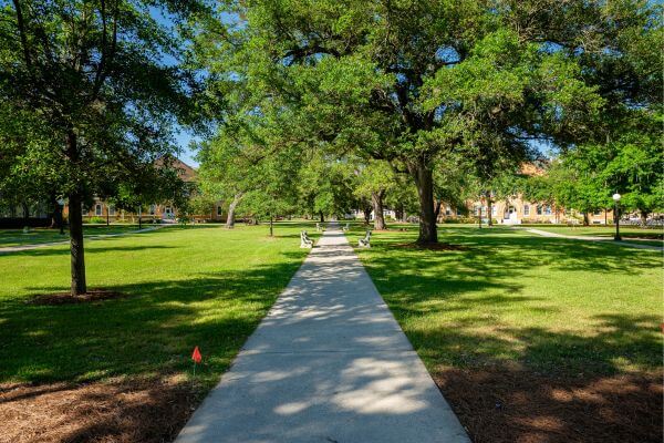 Picture of a college campus.