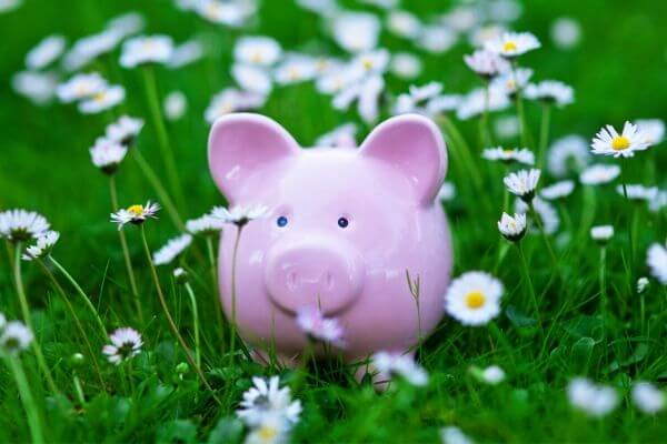 Picture of a money bank pig to help you find free gift ideas.