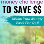 Learn how to make your money work for you with this 30 day money challenge. Create a strategy that will help you save money, spend less, and make more. It's not too late to make the right financial decisions.