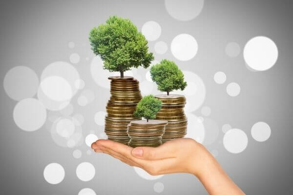 Picture of trees growing from money for this personal capital review.