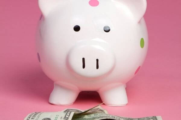 Picture of a frugal pig and money for frugal home ideas.