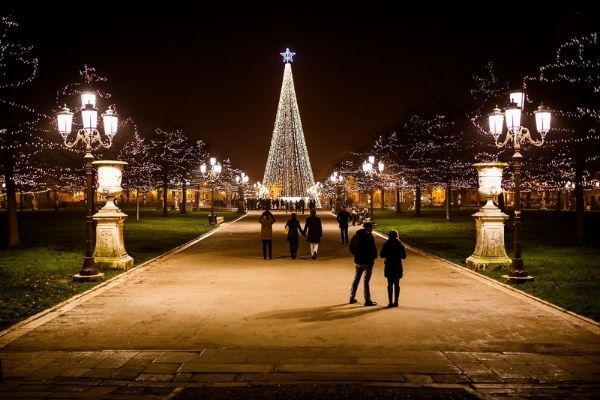 Picture of a park tree lighting for holiday season bucket list around town.