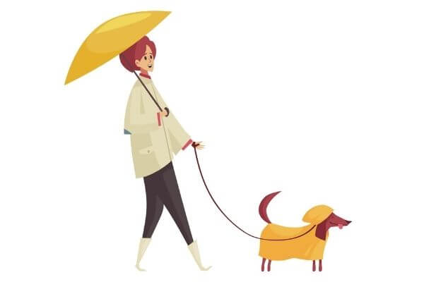 graphic of a lady walking a dog.