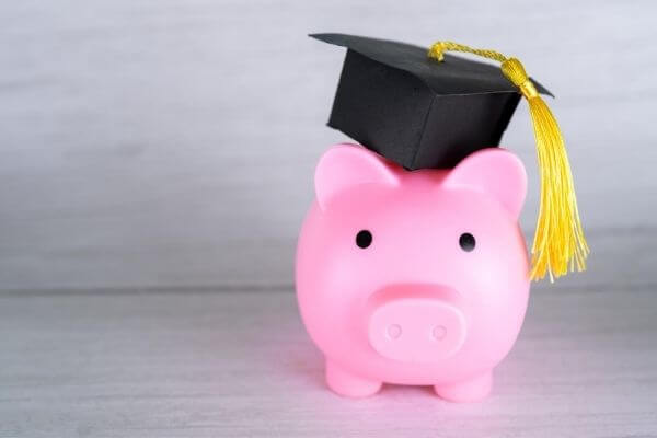 Picture of a pig with a graduation hat on wondering if a business degree is worth it.