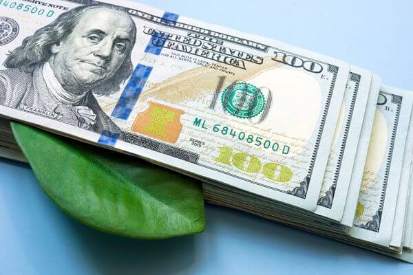 Picture of hundred dollar bills and a green leaf for the top 10 best frugal green living tips.