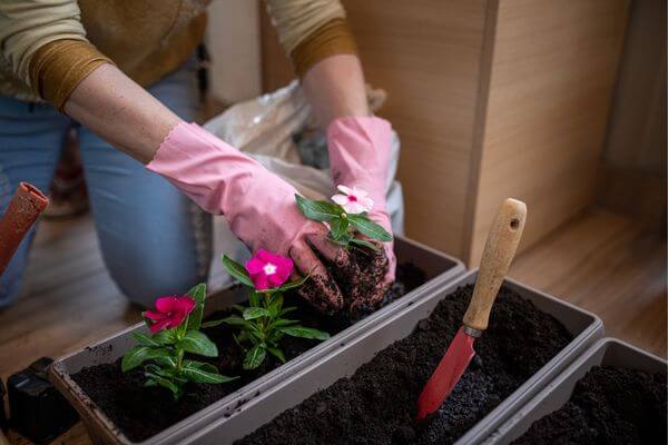 Picture of a lady gardening