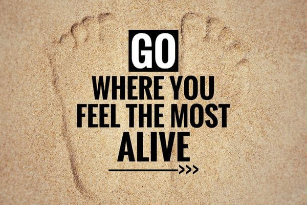 Picture of dream board quotes saying Go where you feel the most alive.