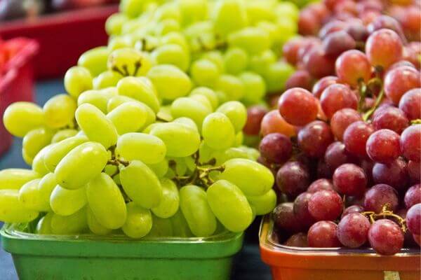 Picture of grapes