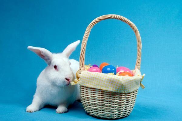 Picture of a bunny and easter basket