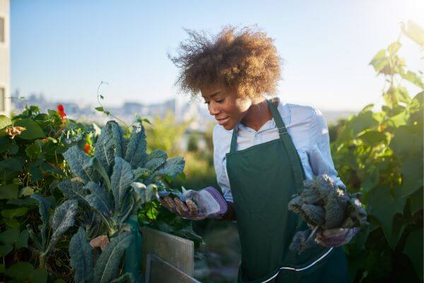 Picture of someone outside with plants