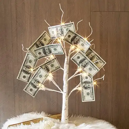Lighted Birch Tree as a Money Tree Gift Holder