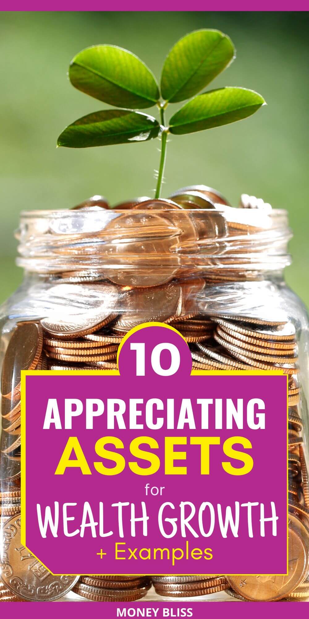 Top 10 Appreciating Assets for Wealth Growth + Examples Money Bliss
