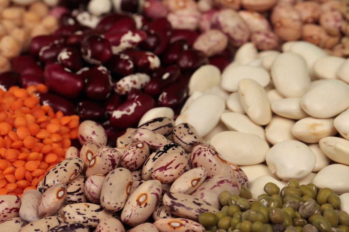 Image of dried beans.