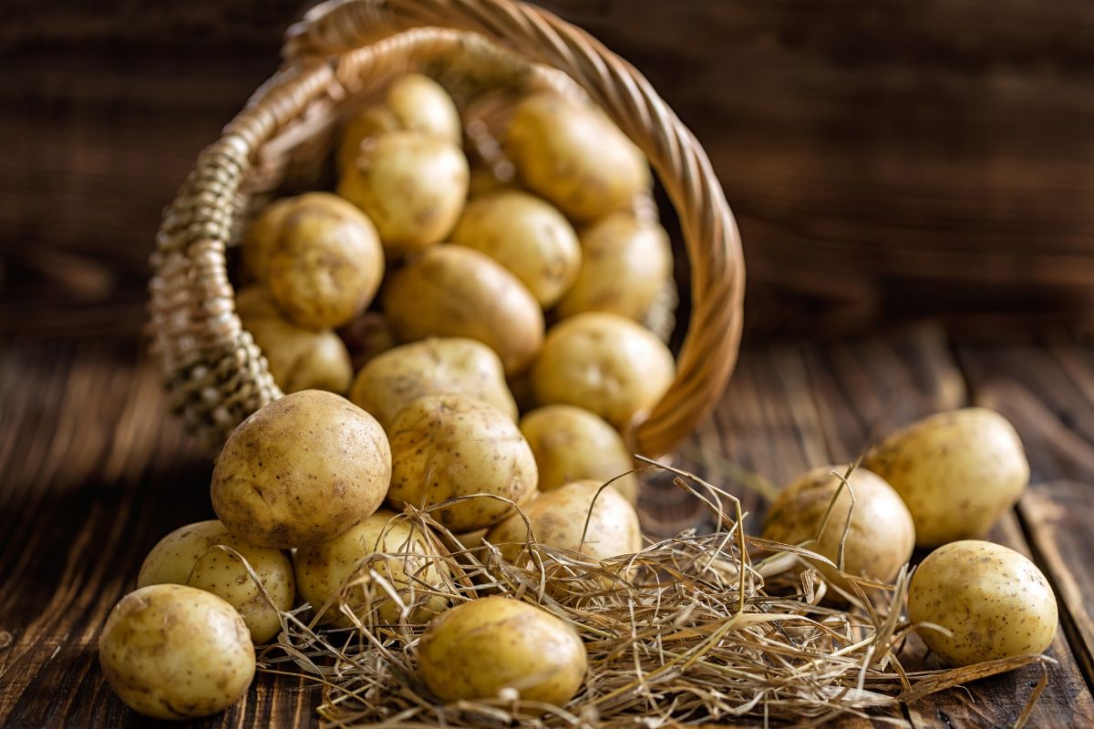 Image of potatoes.