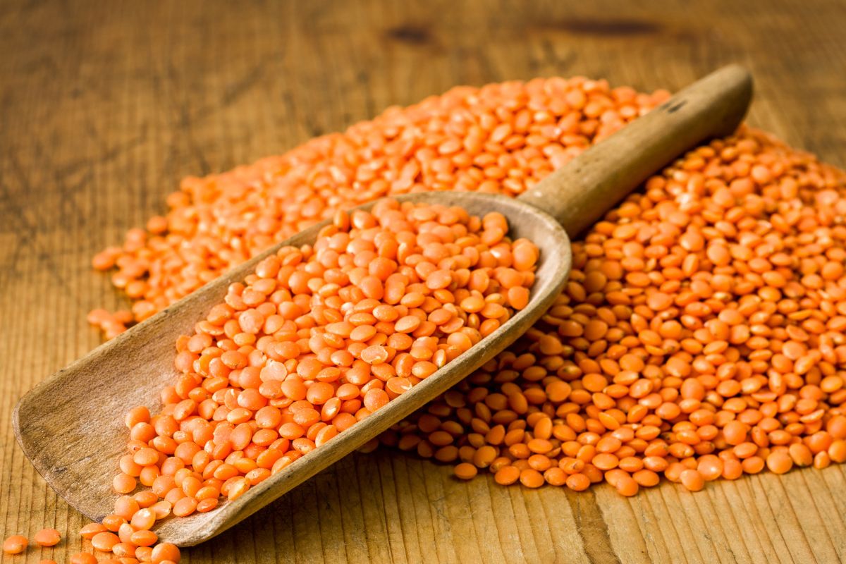Image of lentils.