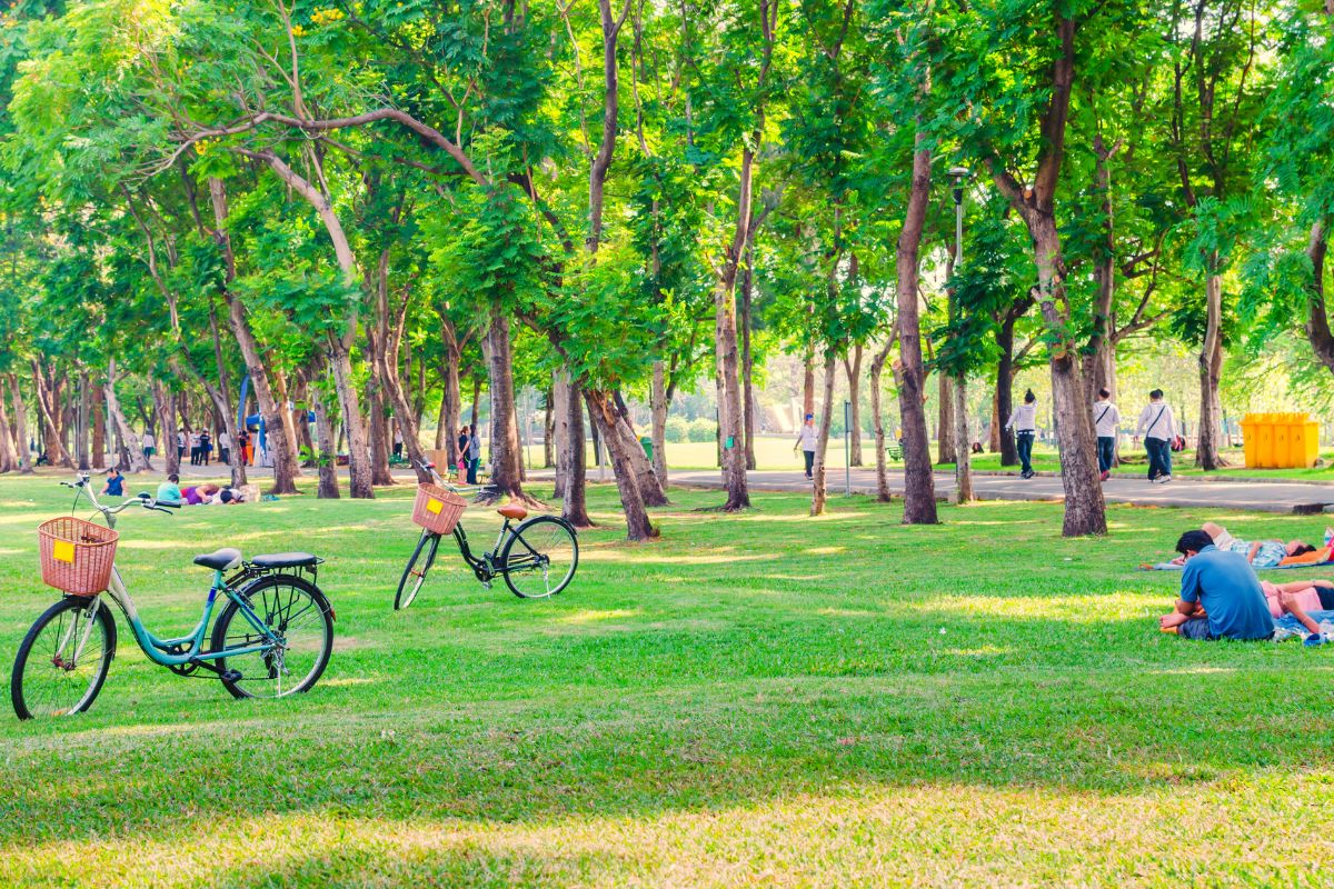 A foto mostra as pessoas no parque.