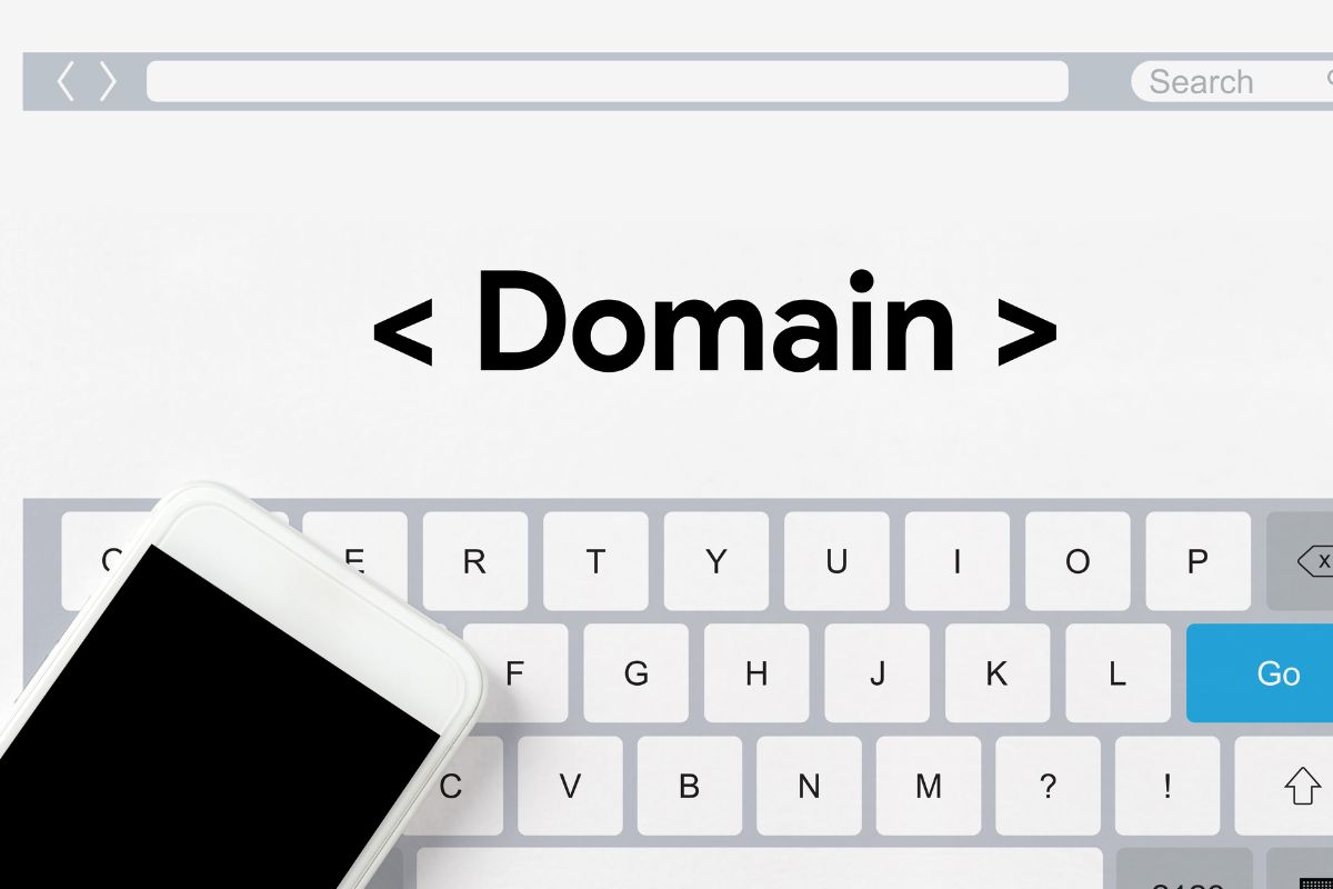 The image shows a domain wording.