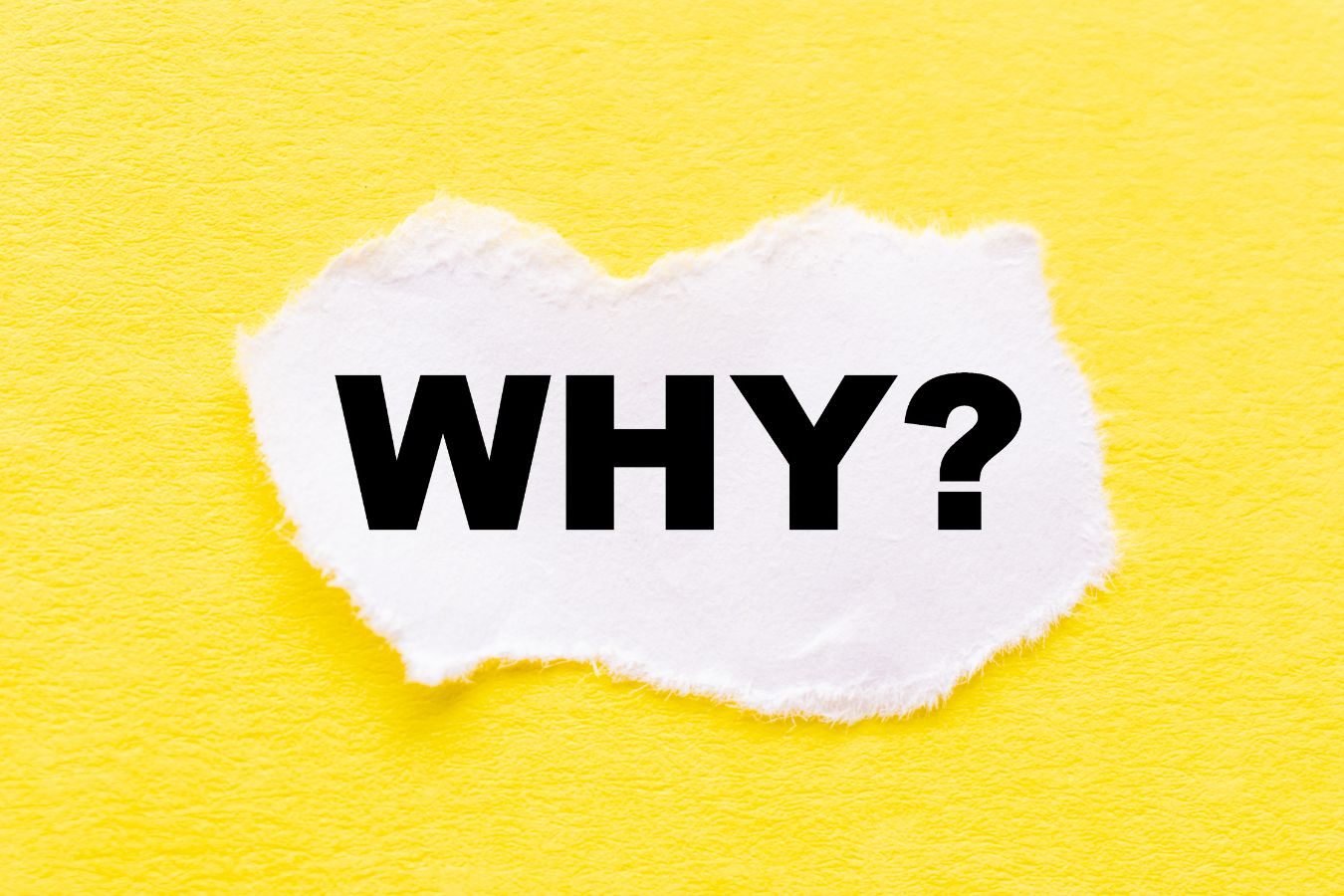 Picture of a paper with why wording.