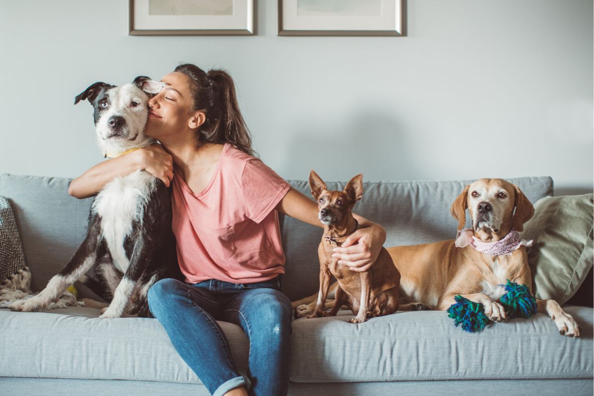 Image of a woman pet sitting.