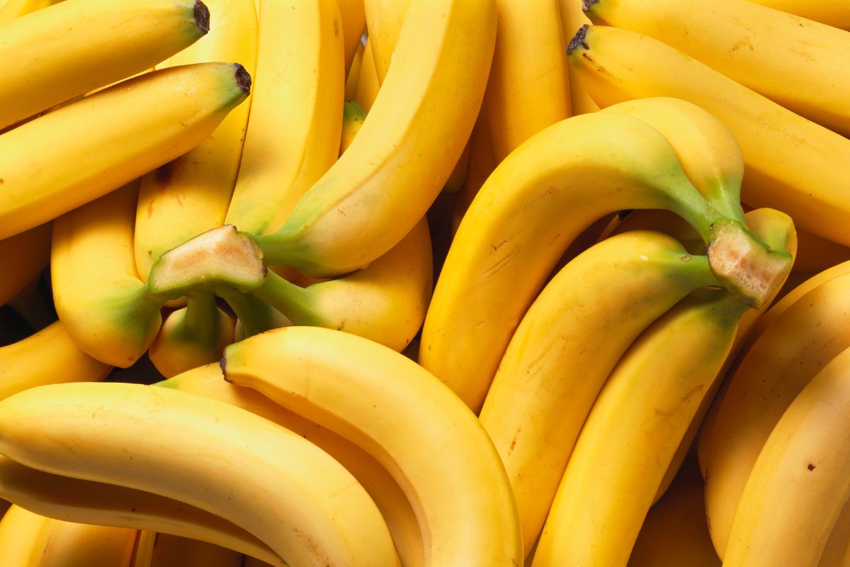 The photo shows bananas.
