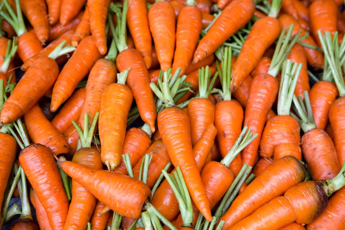 Picture of carrots.