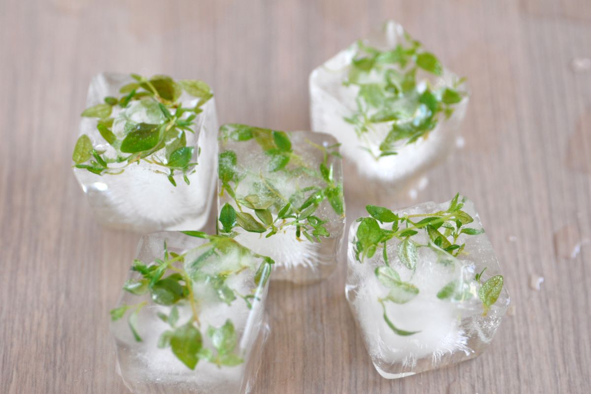 The photo shows ice cubes with herbs.