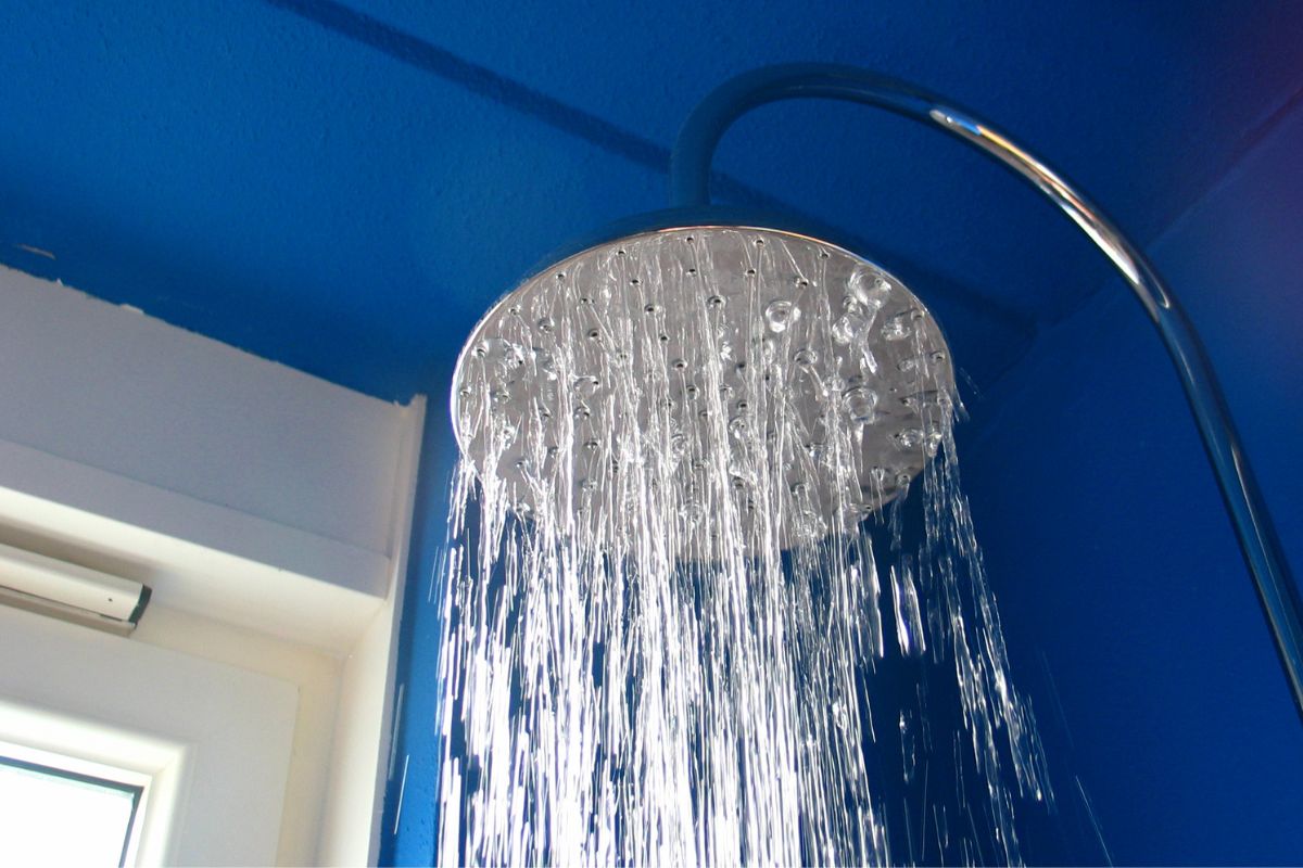 Photo shows a showerhead.