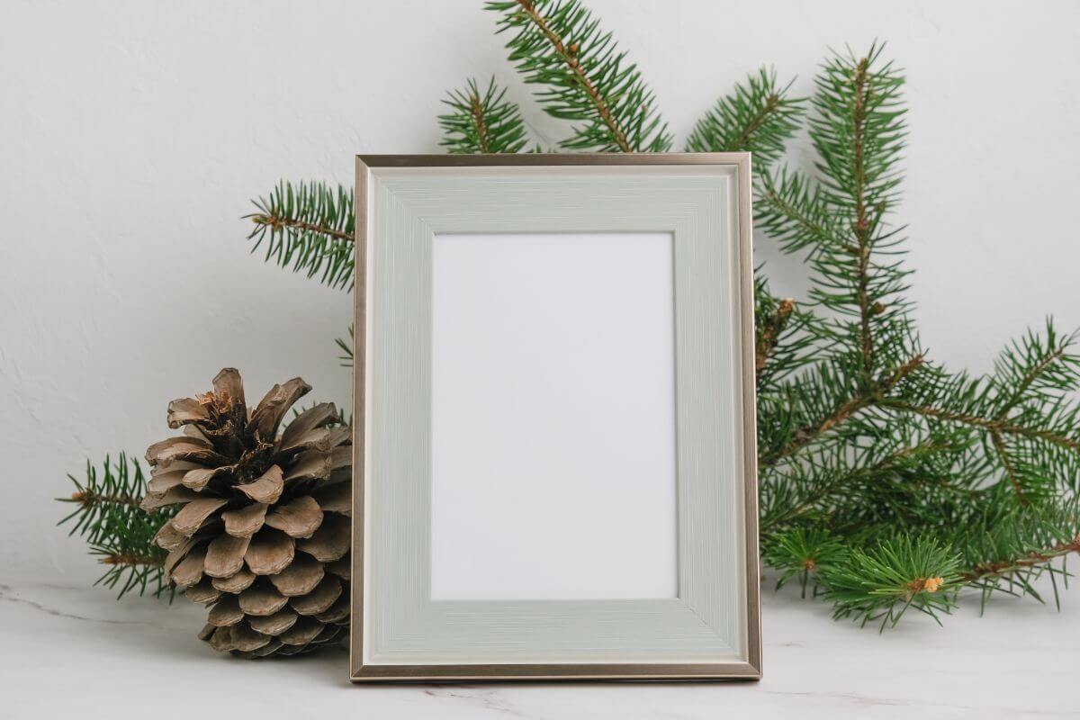 The image shows leaves and a rectangle frame which means to make a DIY framed photo  makes a sentimental gift without costing much.