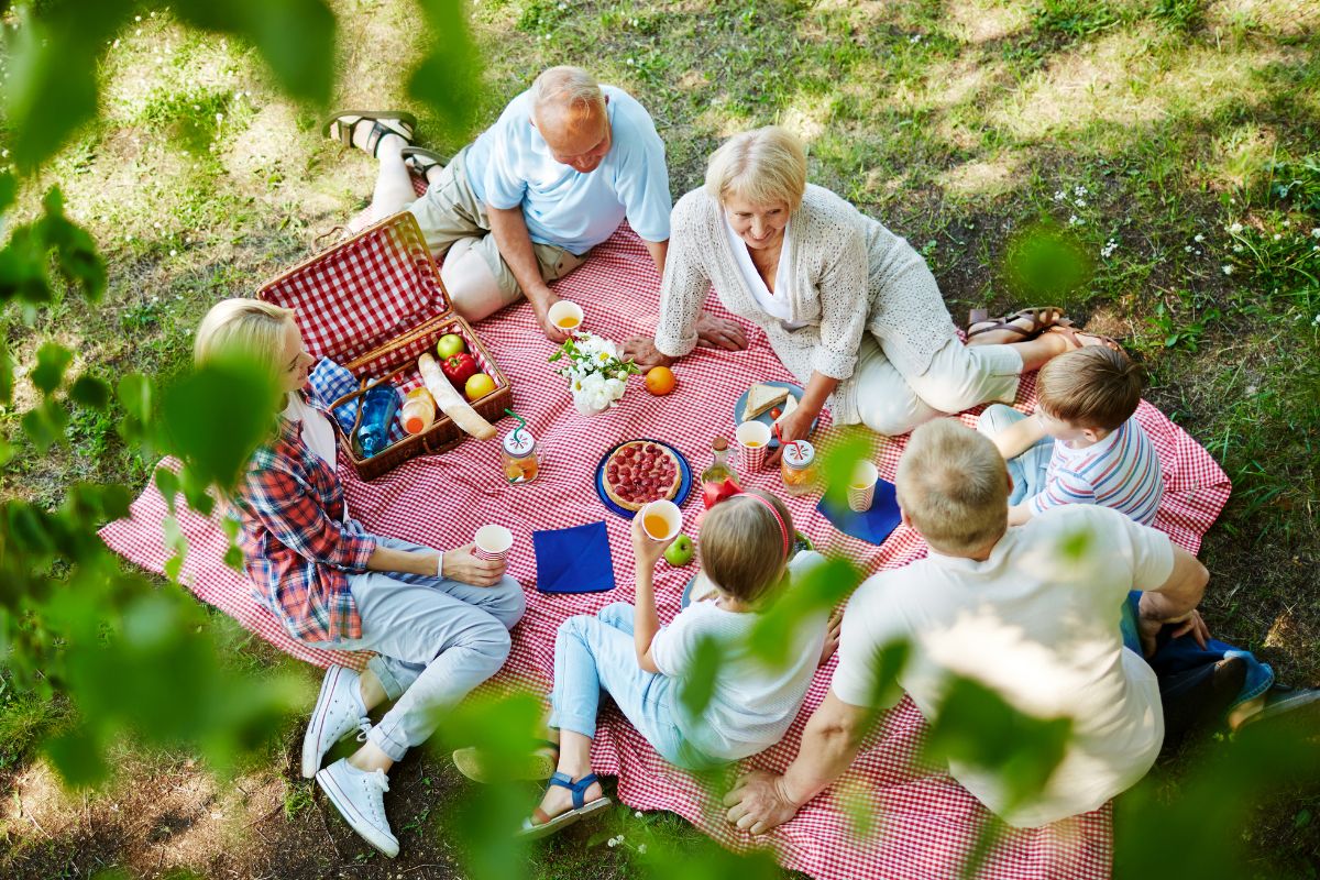 The image shows a family picnic.