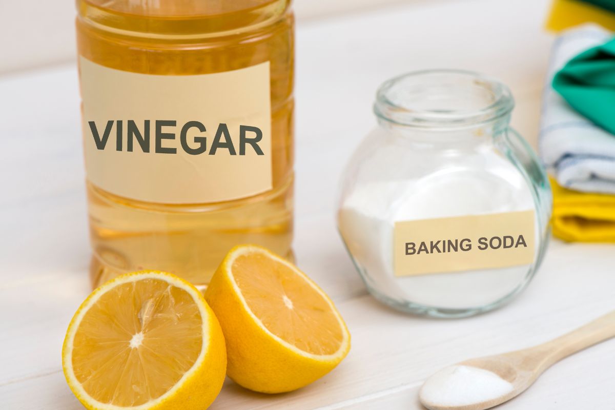 Photo of vinegar, baking soda, and lemons.