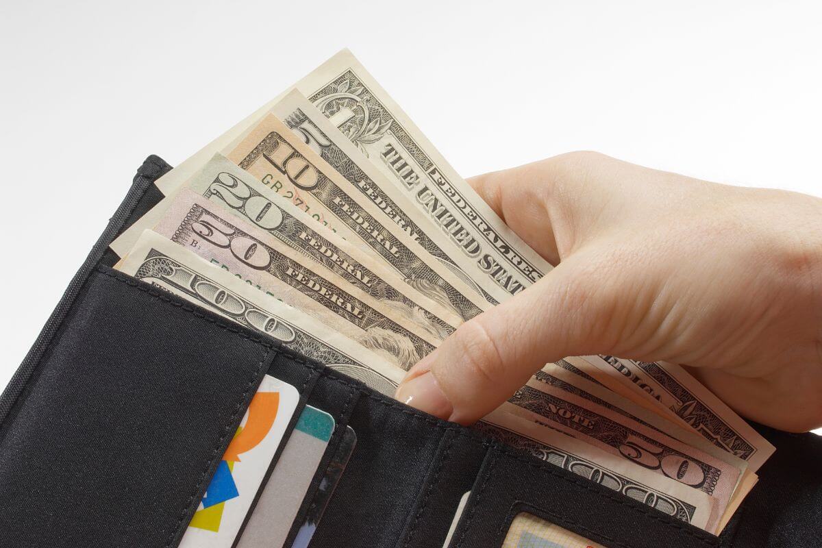 The picture of a wallet with cards and a girl's hand pulling dollar bills indicates you spend less than you earn and have room to save or invest for the future.