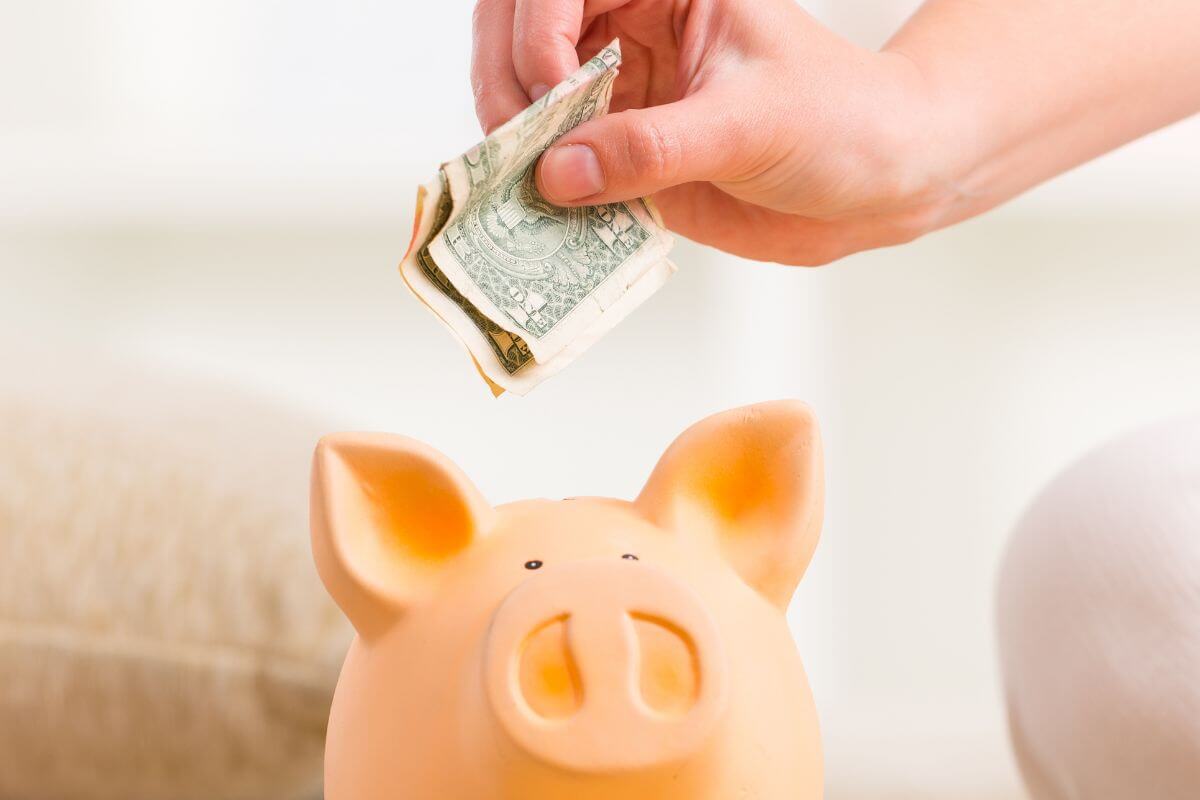 The image of a man's hand putting a dollar bill into the piggy bank means using a reverse budget by setting aside first and then spending the rest without guilt.