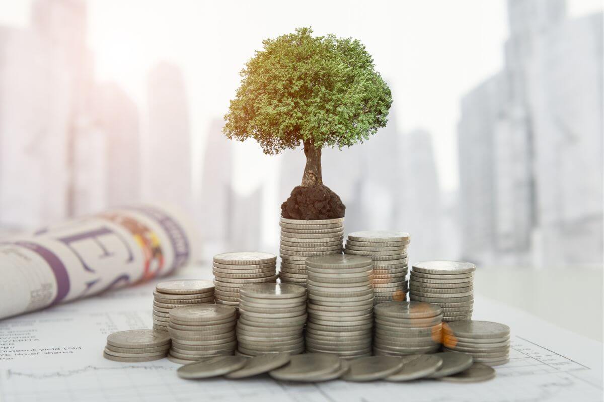 The photo shows coin stocks and a mini tree indicating to research sustainable investments to grow your money while supporting eco-friendly companies.