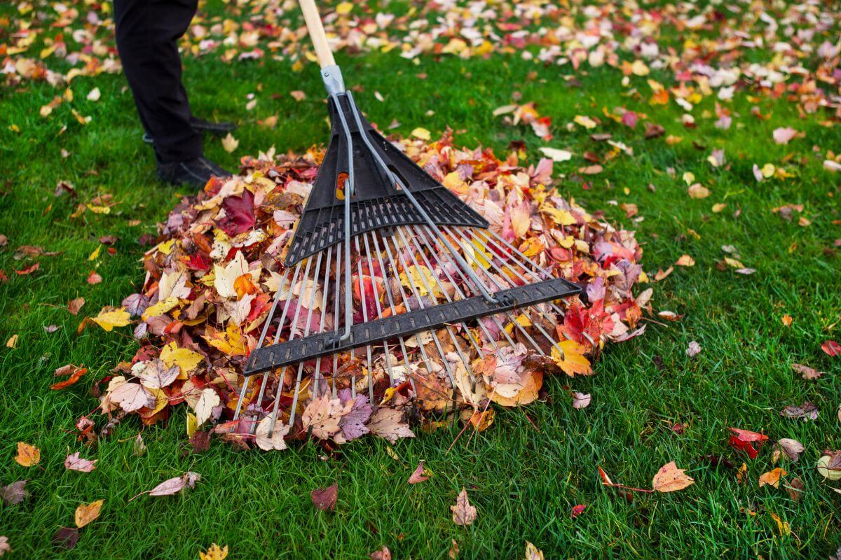 The image shows a ma collecting dry leaves at the yard which refers to providing yard work to earn cash while helping others maintain their outdoor spaces.
