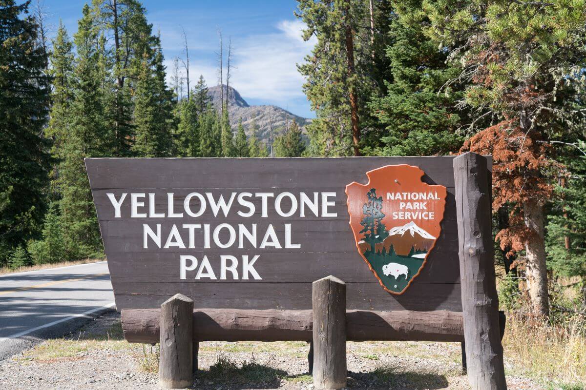 The picture of trees, mountains, and wood with signage of the place along the road refers to buying a senior pass for national parks for a small fee for lifetime access.