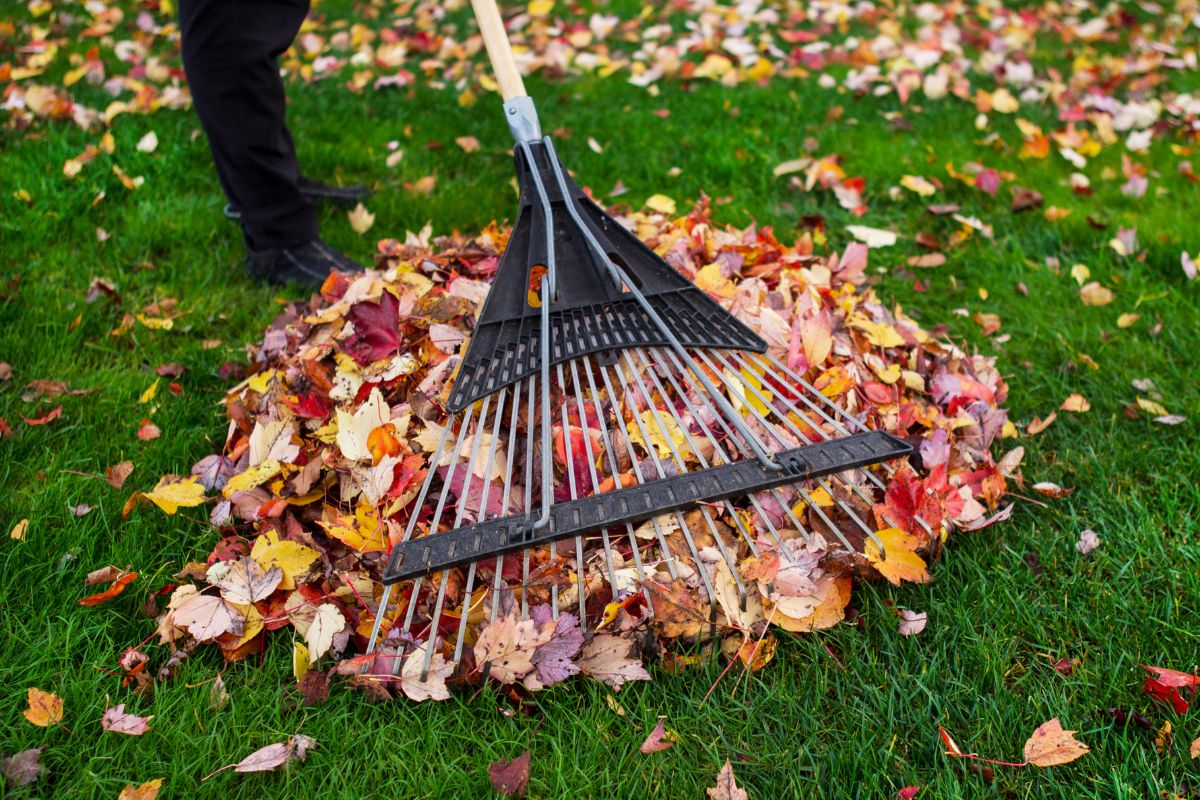 A man cleaning the yard.