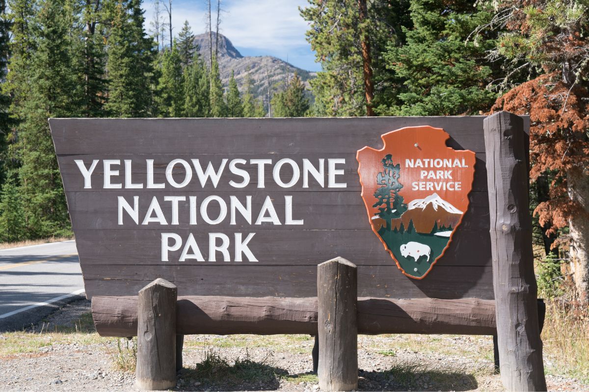 Image of a Yellowstone National Park.