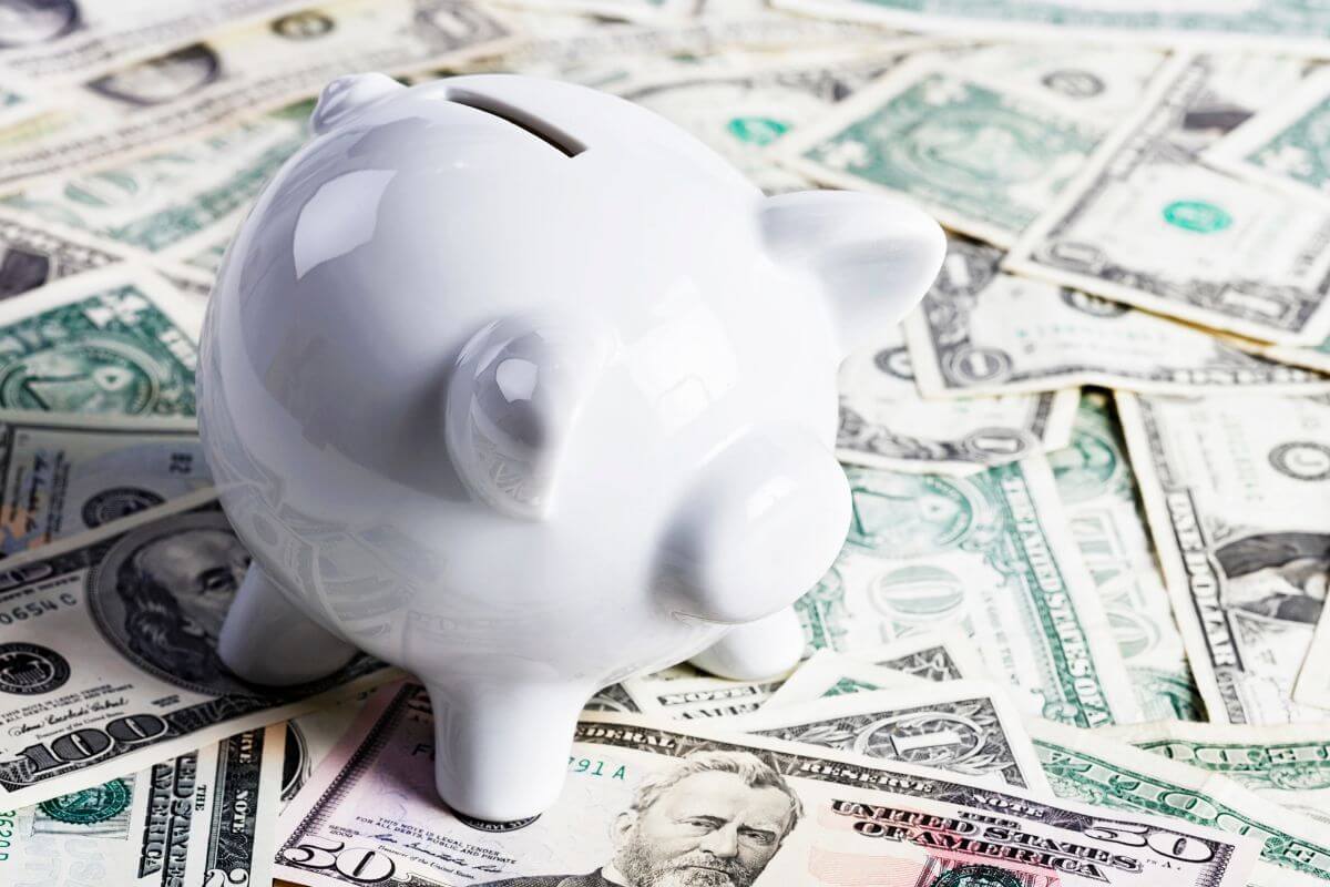 The picture tells about dollar bills and a piggy bank referring to strategies to save for large purchases instead of relying on credit by setting aside a portion of each paycheck in a savings account.