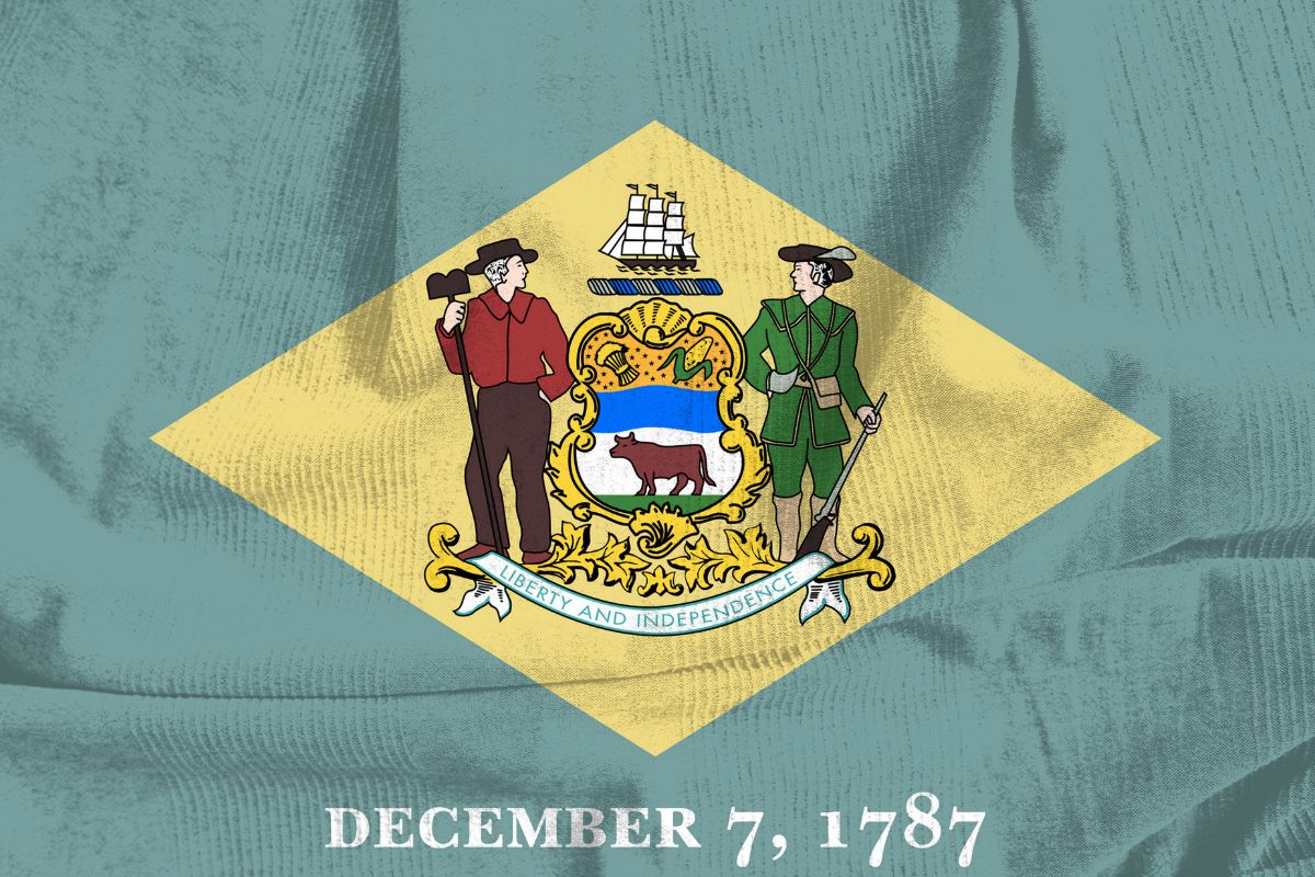 The photo shows a Delaware flag.