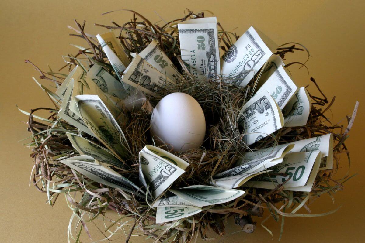 The photo of a nest with egg and dollar bills refers to avoiding dipping into your egg nest unless necessary which can slow progress and reduce your future security.