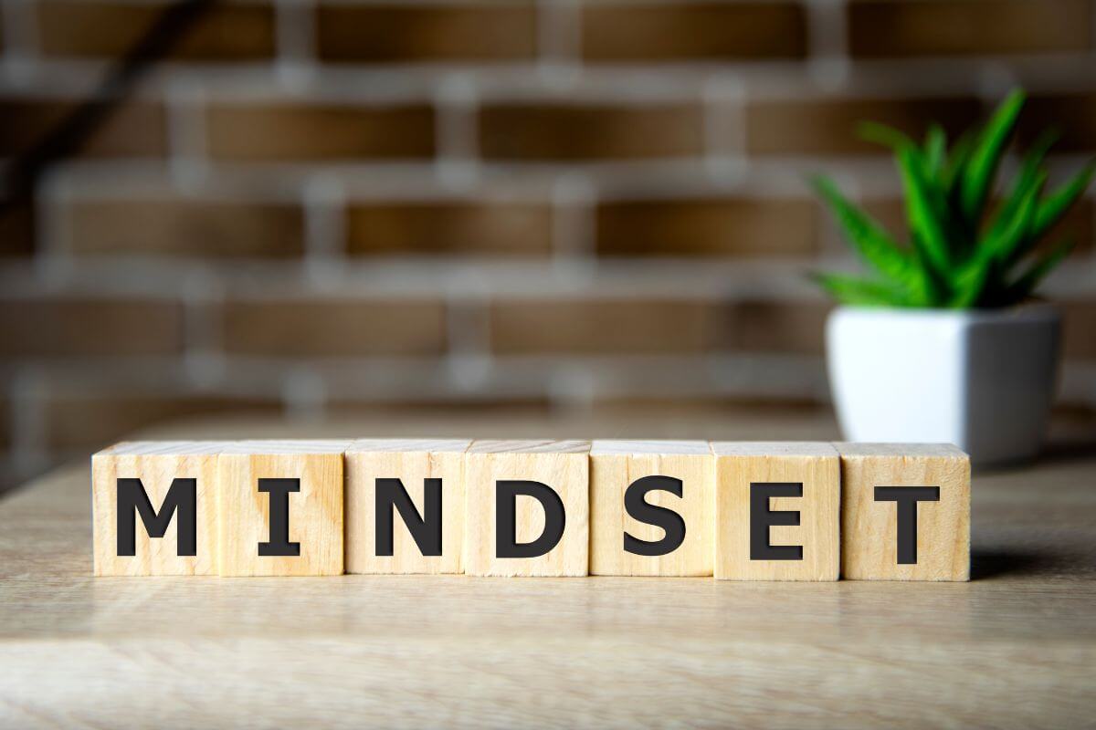 The image of a plant and wooden cubes with letters referring to improving your mindset can help you stay motivated and keep making progress.