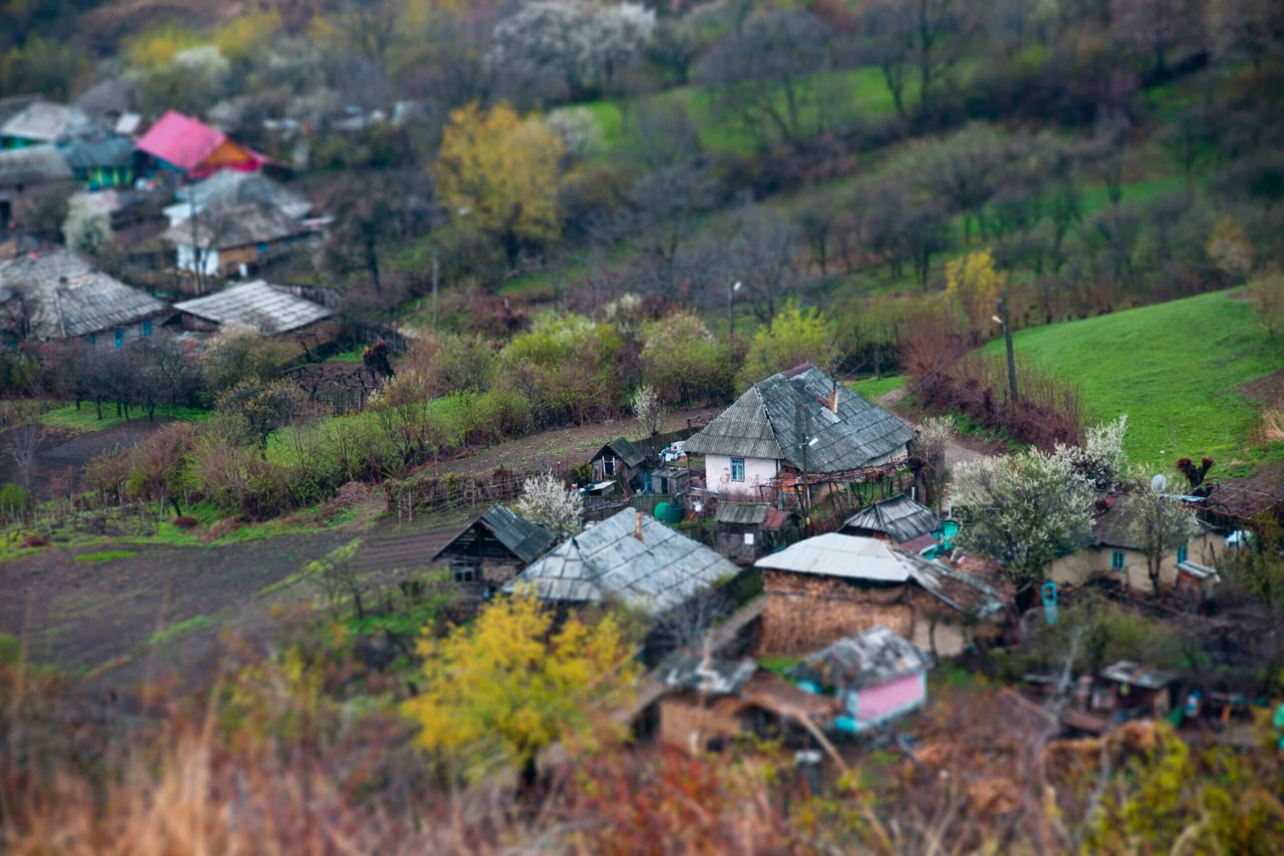 The photo of houses surrounded by trees and plants means moving to a cheaper country for a few years to build wealth while experiencing new places.