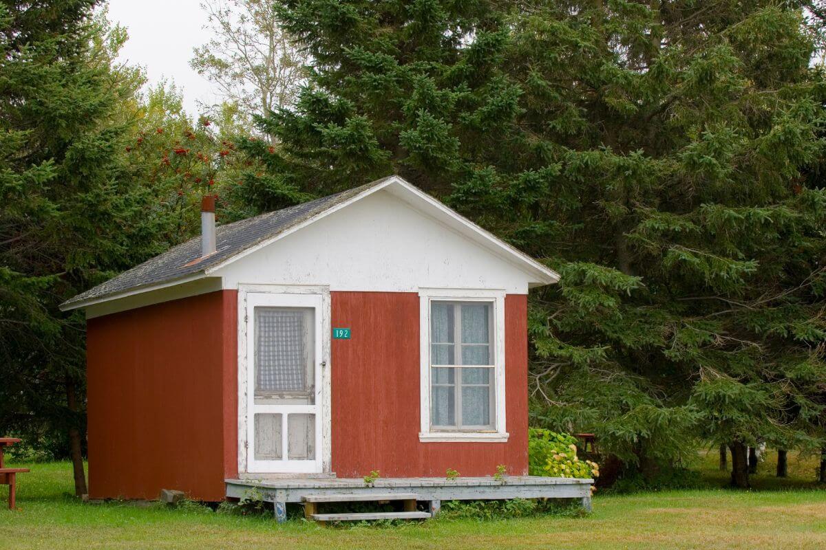 The picture of trees and a house refers to living in a tiny house to eliminate housing expenses and help you reach financial freedom while simplifying your lifestyle.
