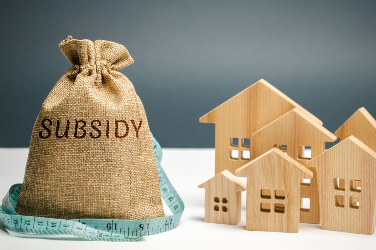 Image of house figure and sack with subsidy wording.