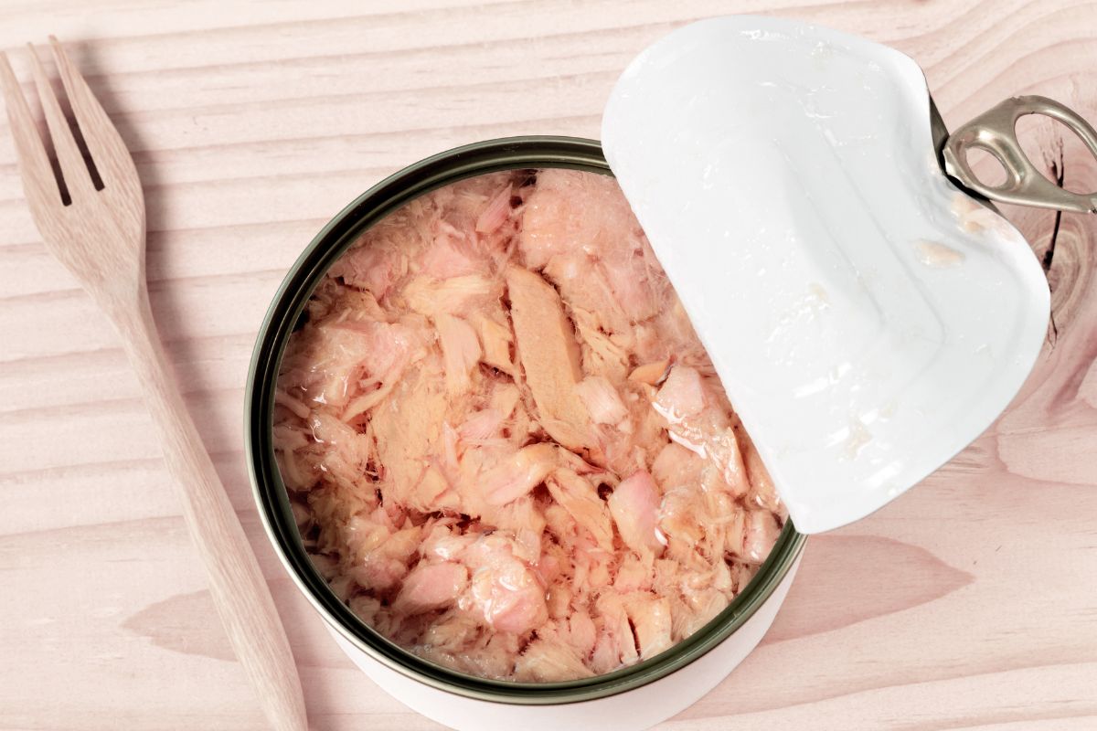 Photo of canned tuna.
