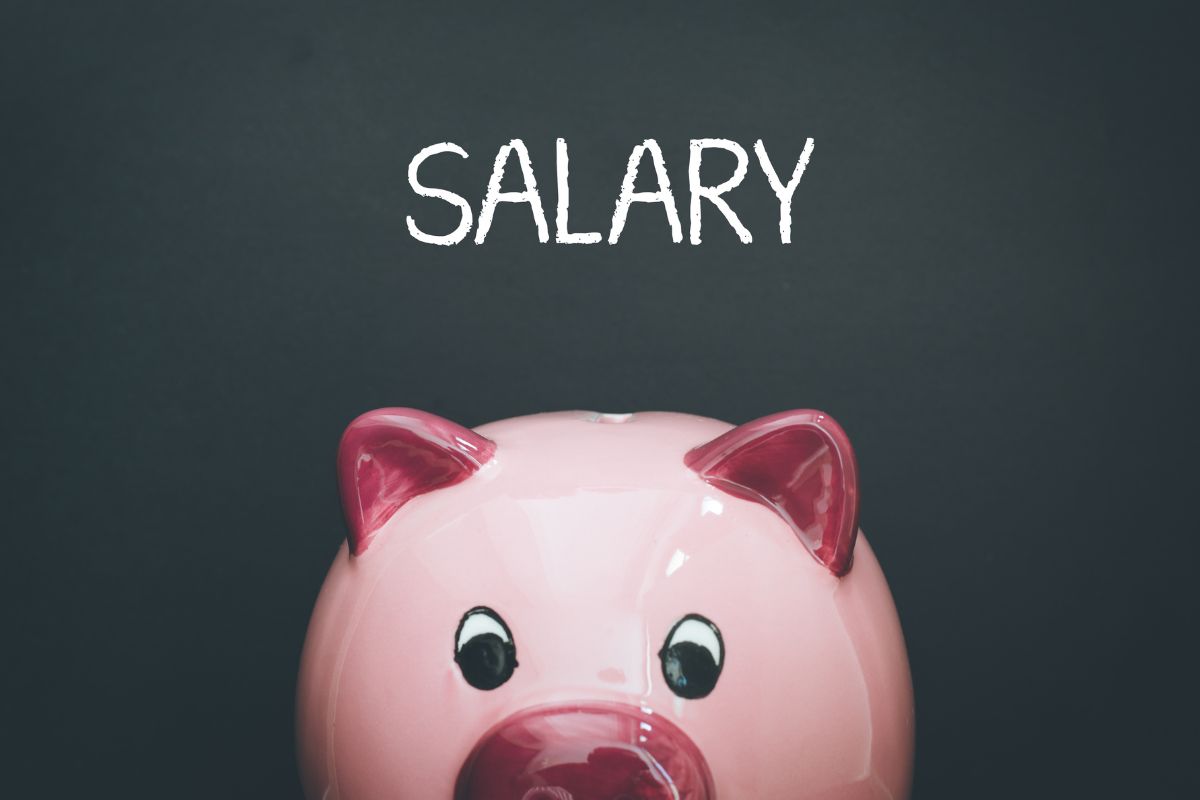 Photo of a piggy bank and salary wording.