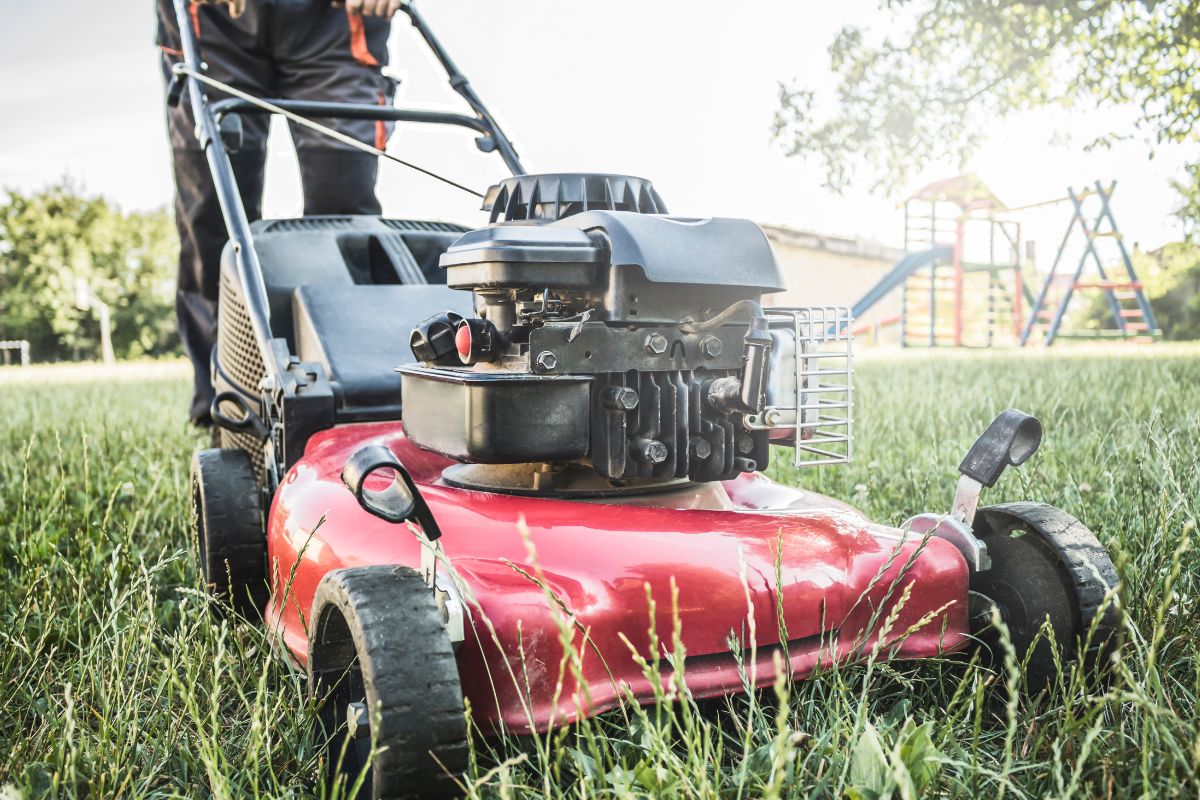 Image of a man doing a lawn care service.