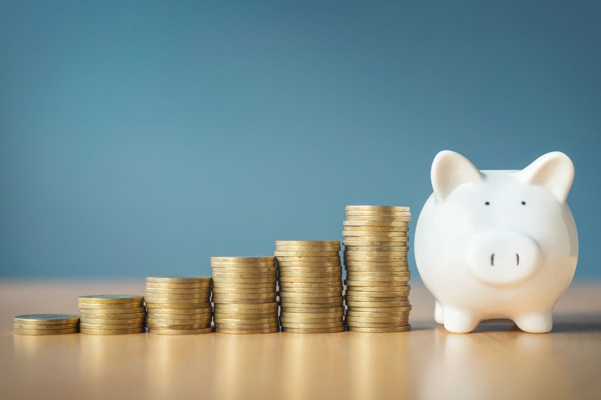 The picture shows savings.