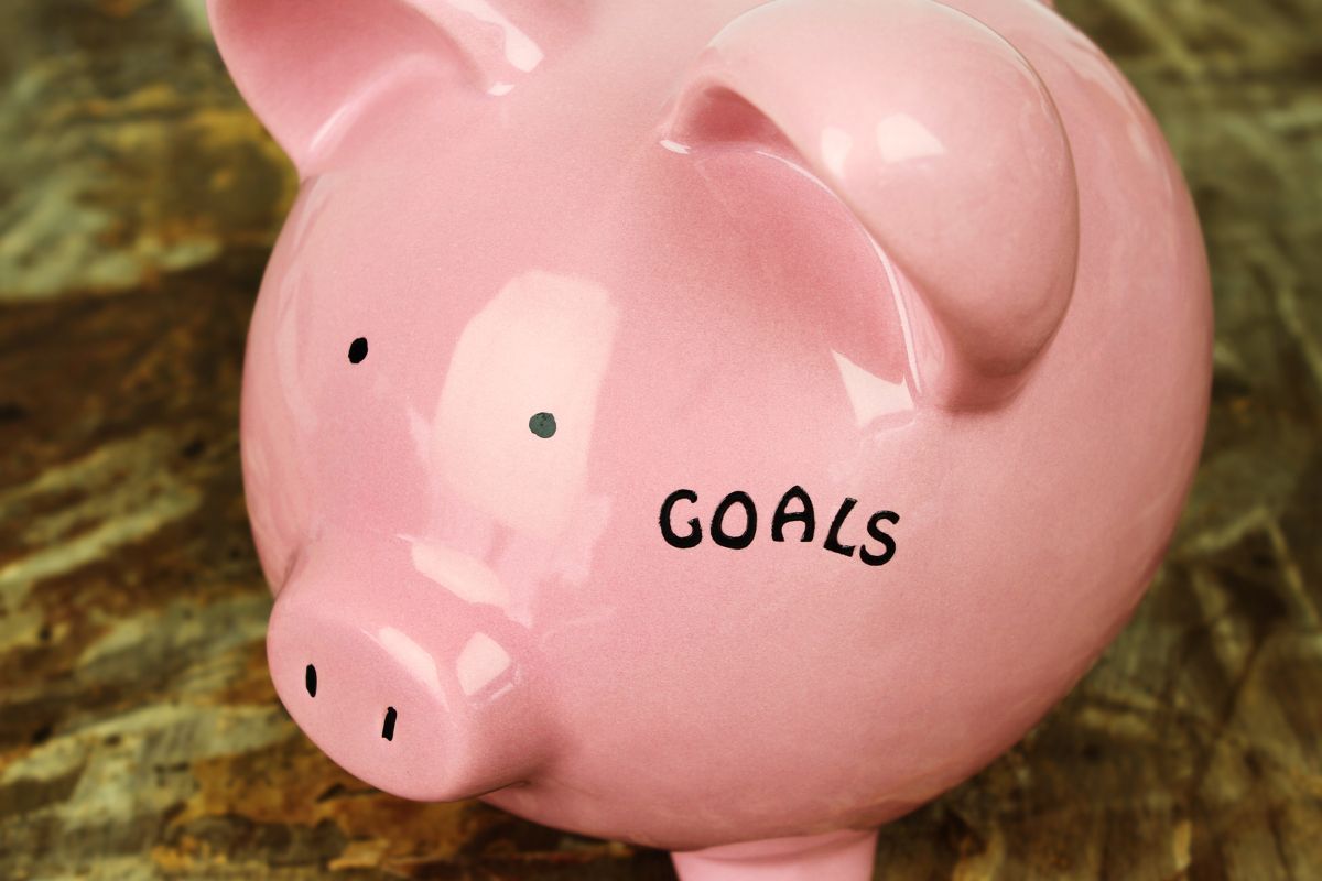 The picture shows a piggy bank with savings goal.