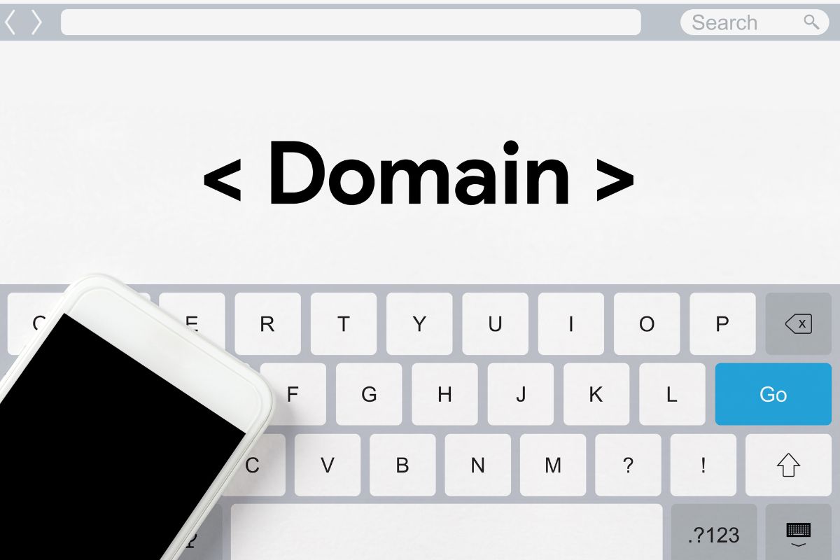 The photo shows a phone and a flipping domain online.